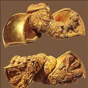 Andhra Pradesh Royal Hearings